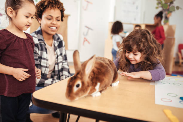 médiation animale en crèche